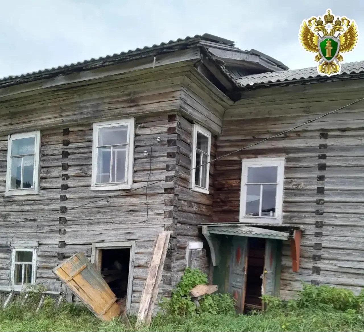 В Поморье прокуратура взяла под контроль ситуацию с буйством медведей