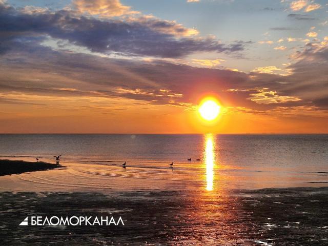 На берегу Белого моря – финальная «Музыка закатов» сезона-2026
