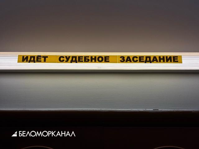 В Архангельской области хулиган Гневашев, отобравший игрушку у детей, получил административный арест