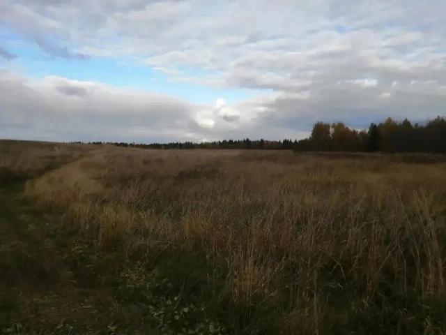 В Поморье после вмешательства прокуратуры резиденту Арктической зоны пришлось вернуть в муниципальную собственность два земельных участка