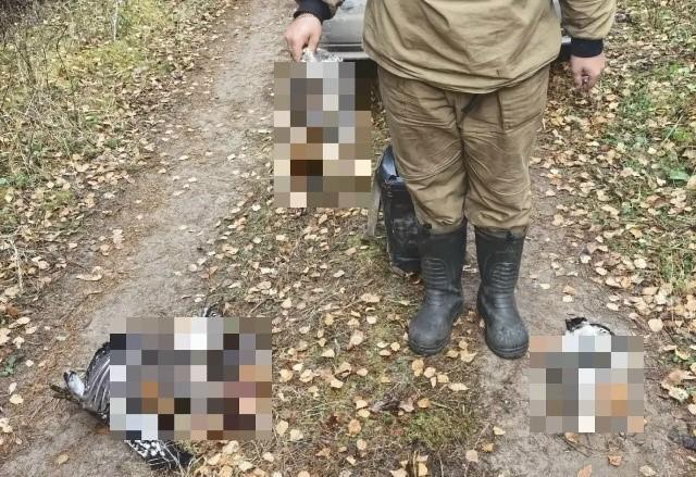 В Поморье задержали автомобиль, набитый браконьерами