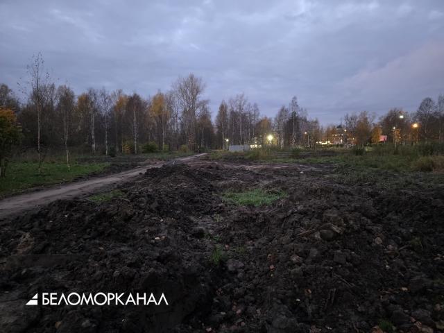 В архангельском парке Ломоносова кипит работа. Шутка